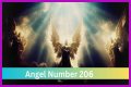 
ANGEL NUMBER 206
