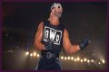 Hulk Hogan Was at His Meanest When He Vandalized the WCW World Heavyweight
Championship